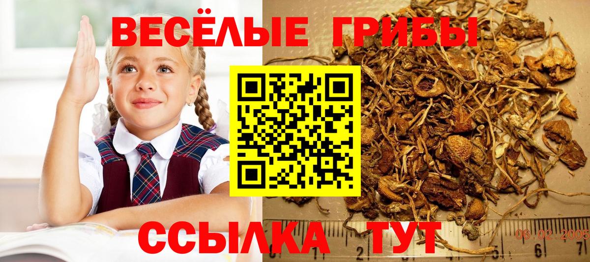 Псилоцибиновые грибы мухоморы  Вход с VPN  купить закладку  Алексин 