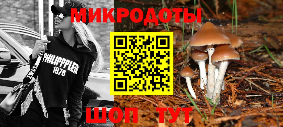 Галлюциногенные грибы Magic Shrooms Алексин