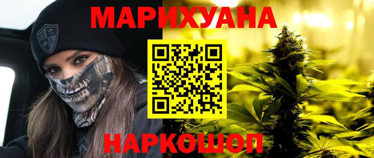 Канабис сатива Алексин